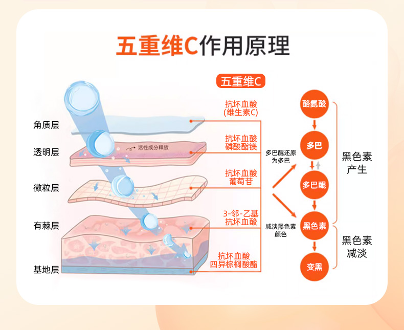 五重維C素顏霜_05.jpg