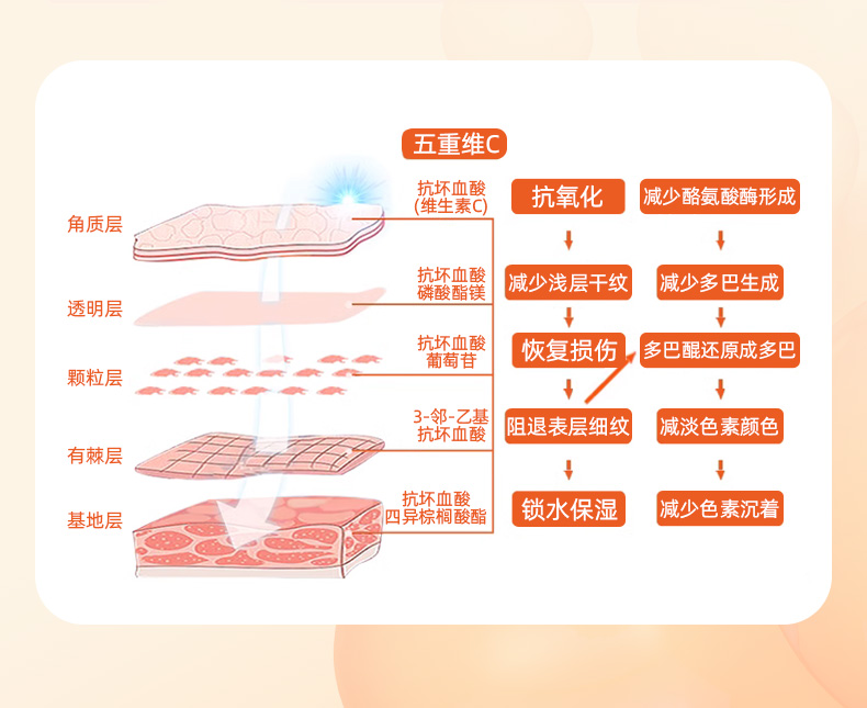 五重維C精華液_05.jpg