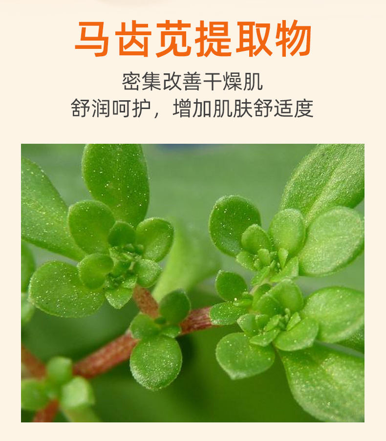 五重維C精華液_07.jpg